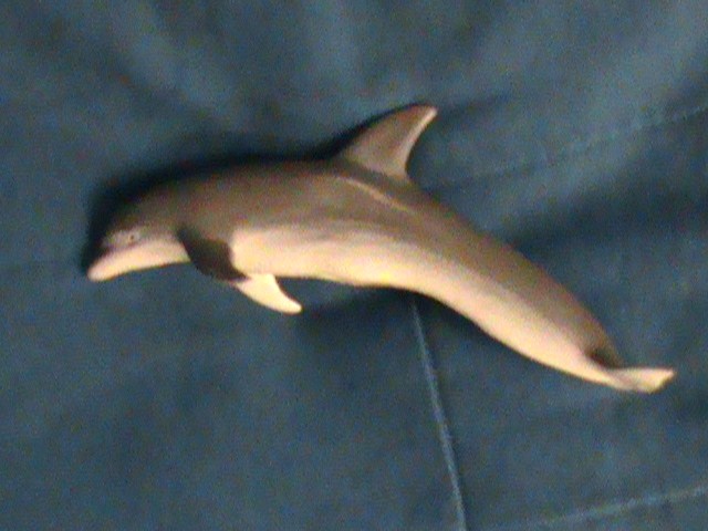 New Flipper Dolphin Toy