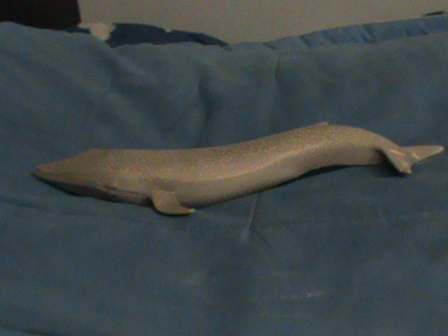 New Bluey Whale Toy