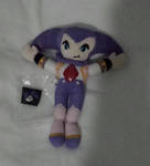 My Custom NiGHTS Plush by TheDreamingJester