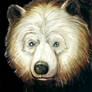Wilde Life - The White Faced Bear