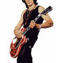 joe perry vector