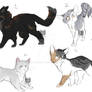 Adopts and try outs :{open}: