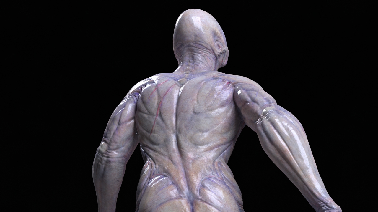 Alien Back Scratch alien back view close up by strajky on DeviantArt