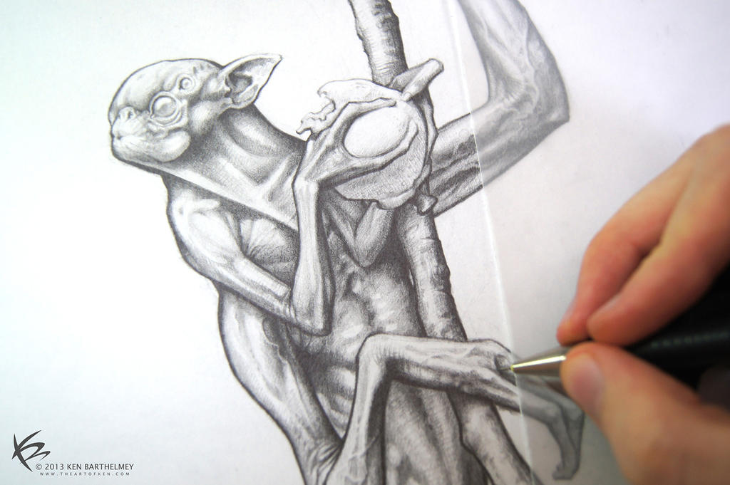 Pencil Drawing by KENBARTHELMEY