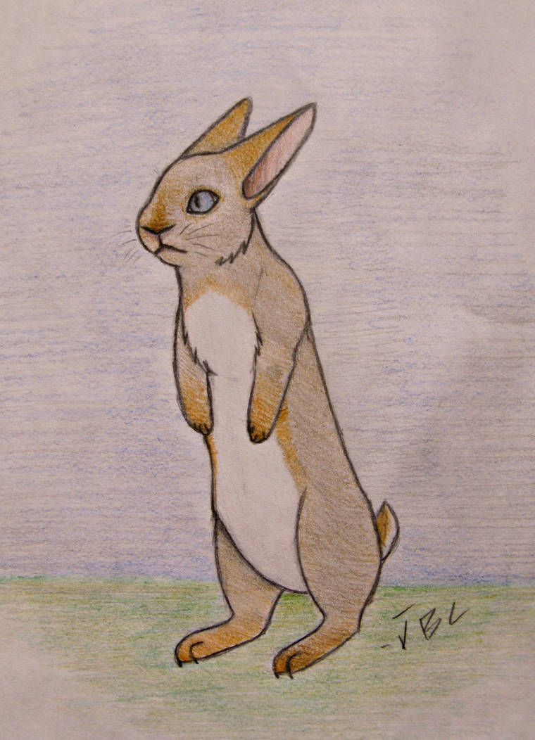 Brown Rabbit Deviantart Rabbit 2 by Weaselstein on DeviantArt