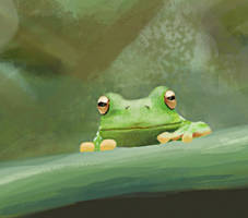 Little Frog Study