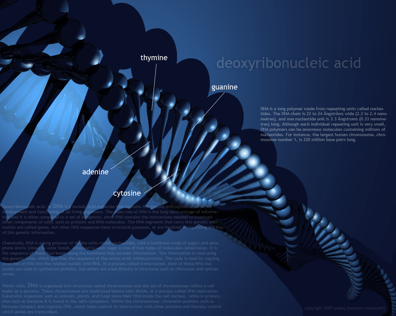 DNA