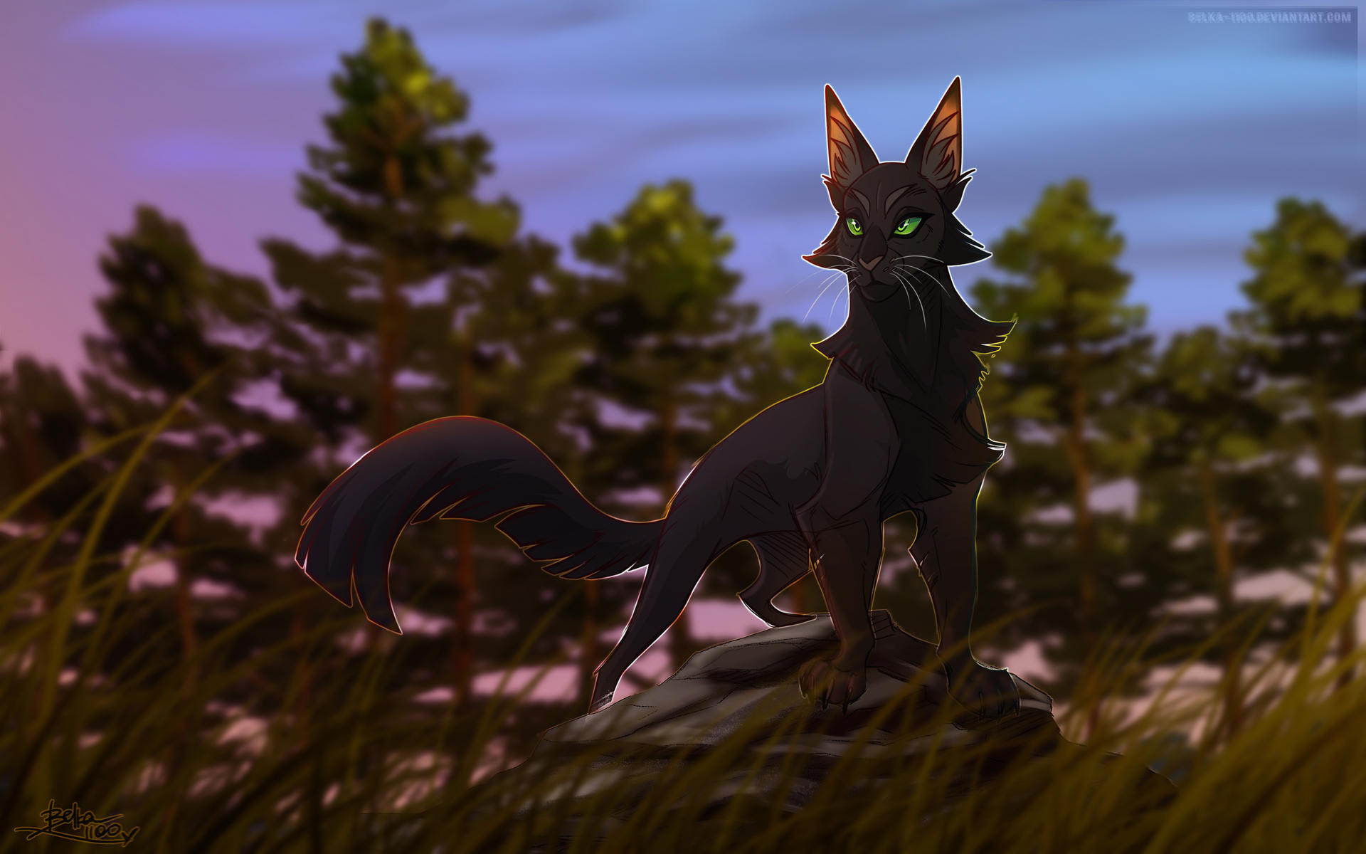 Shadowclan Tree Shadowstar - First leader of ShadowClan by Belka-1100 on DeviantArt