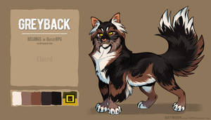 Cat Adopt Greyback - closed