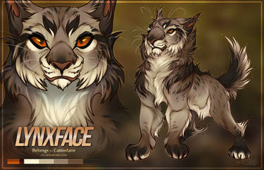 Cat Adopt Lynxface  - closed