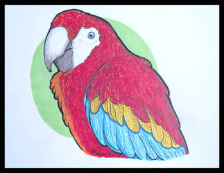 parrot by maskedink