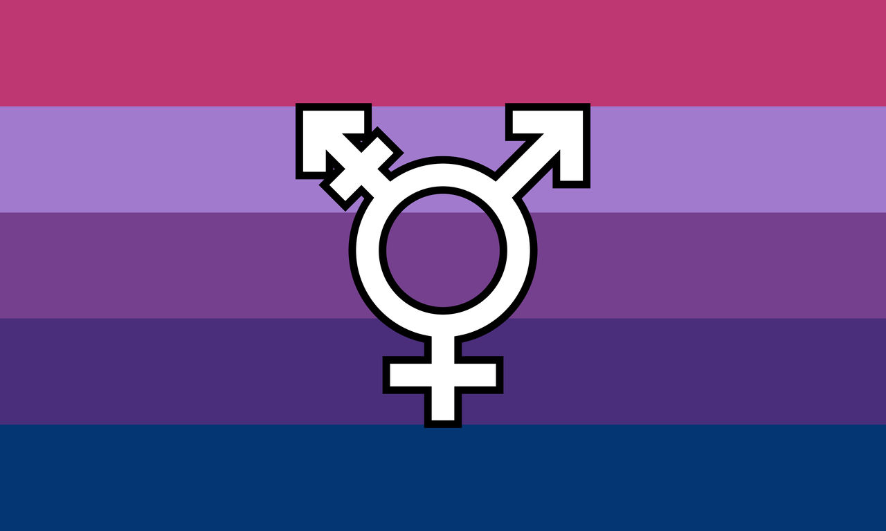 Trans flag with bold symbol ( Pellinen design ) 1 by isobug on DeviantArt