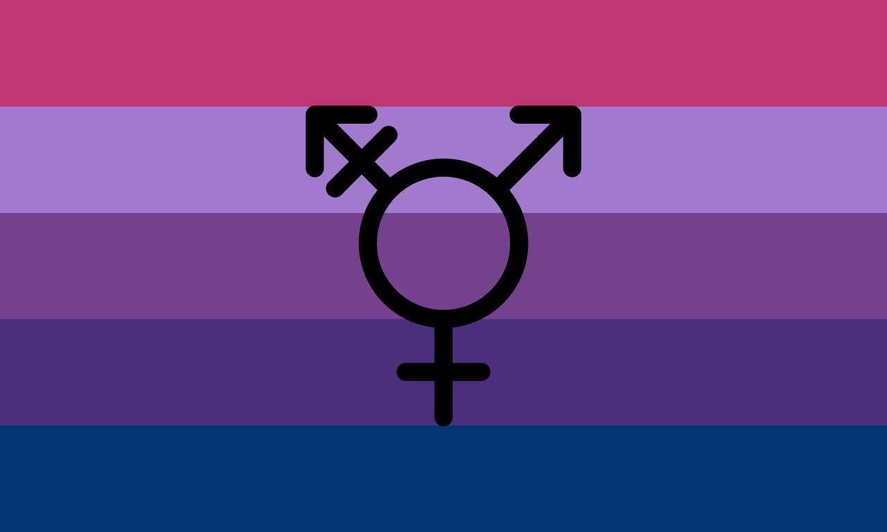 Trans flag with symbol ( Pellinen design ) 3 by isobug on DeviantArt