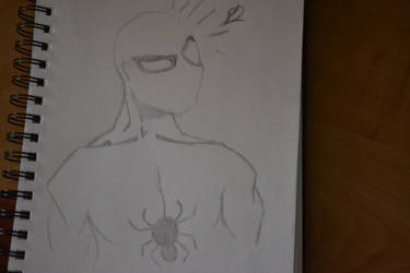 W.I.P Spiderman