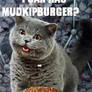 I can has mudkip burger?