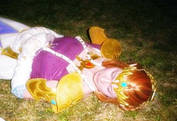 Sleeping Zelda