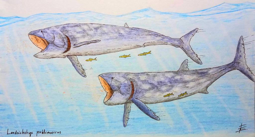 Pogg Fish The Pogfish by GabutBanget on DeviantArt