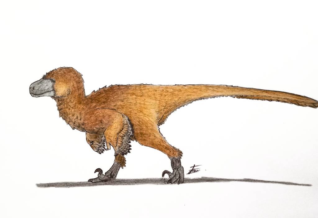 Utahraptor by GabutBanget on DeviantArt