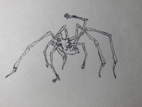 Spider Monkey Deviantart Spider Monkey by Dyspareunic on DeviantArt
