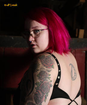 BullSnookPhotography Hobbyist Photographer DeviantArt bullsnookphotography-hobbyist-photographer-deviantart