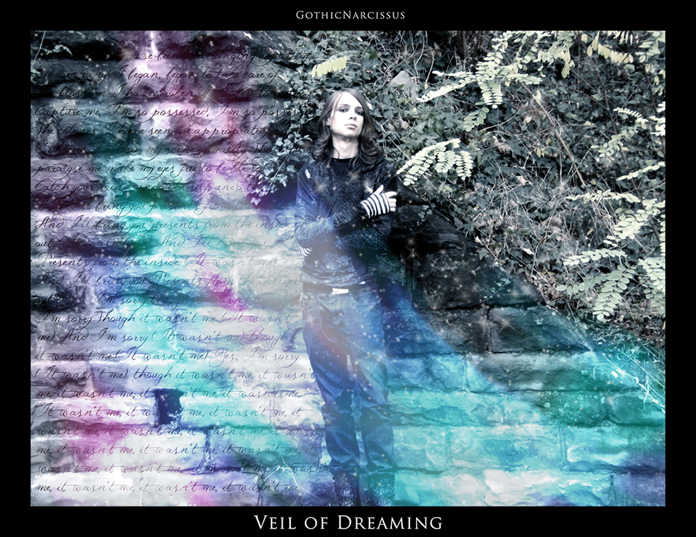 Veil Of Dreaming