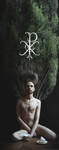 Sad Cypress by GothicNarcissus