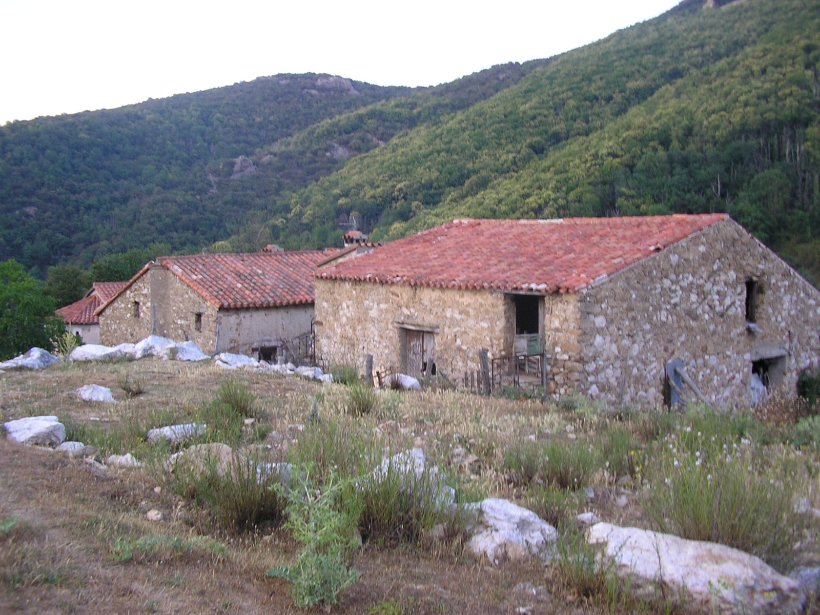 Pujol d'Adalt 5: Overall View