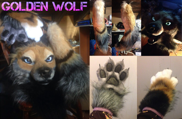 COMPLETE Golden Wolf Partial