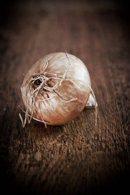 onion