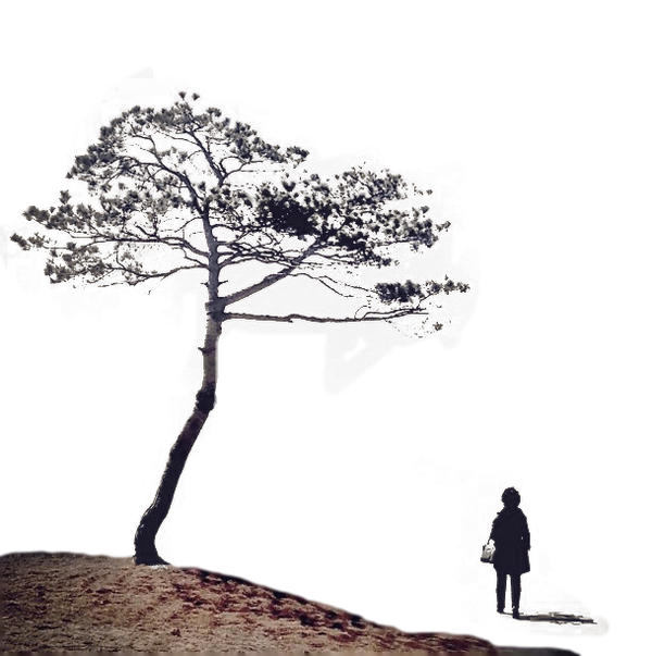 Tree Render Deviantart THE TREE by desanhdep1 on DeviantArt