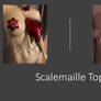 Scalemaille Top 2