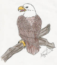 Eagle