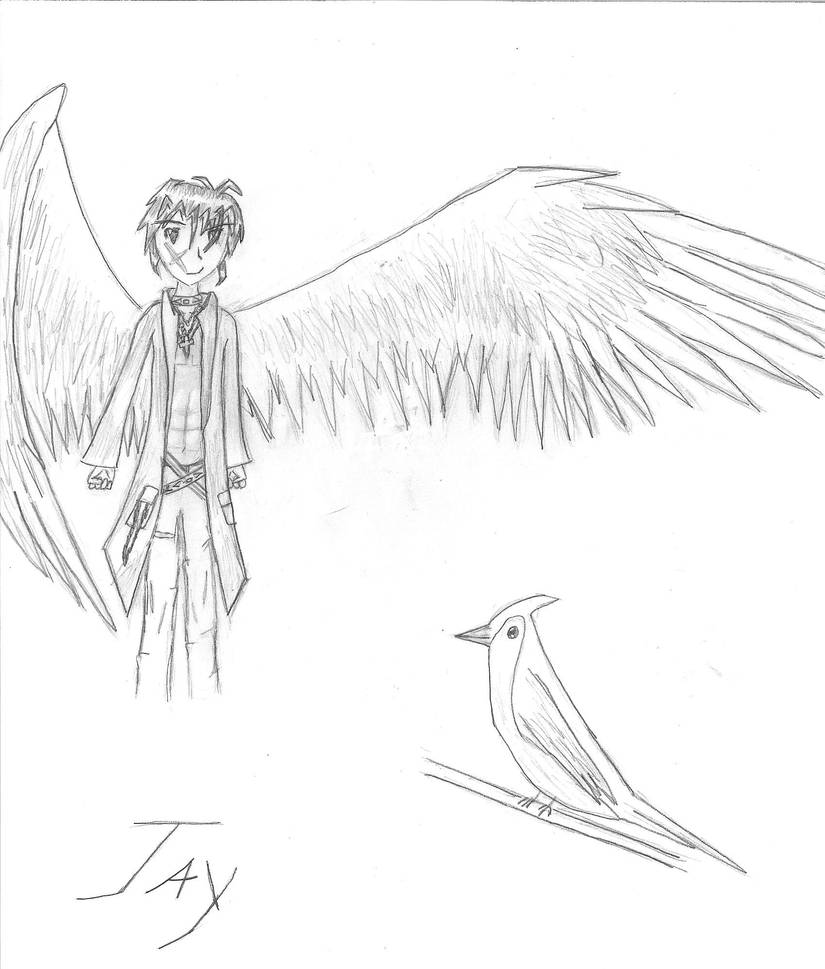 Jay-Maximum Ride OC by Sunset-Dawn on DeviantArt