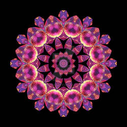 Jaipur Kaleidoscope Mandala