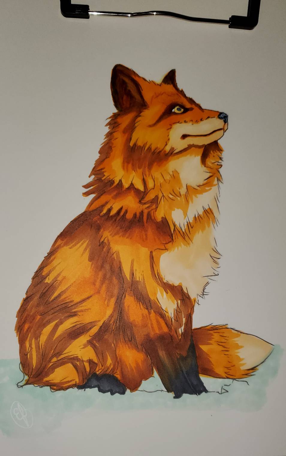 Copic marker fox 