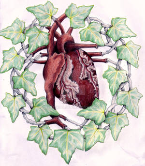 Ivy Heart