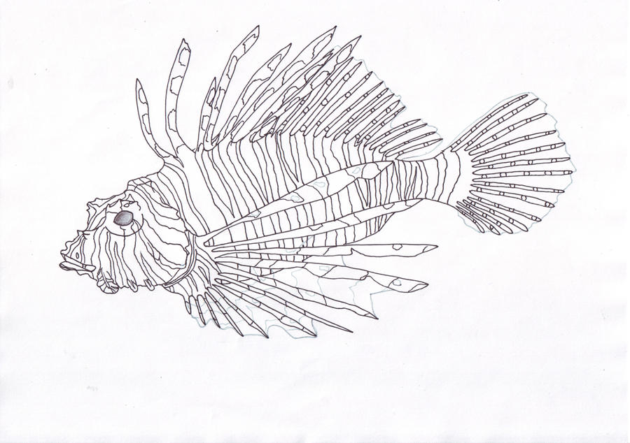 Feuerfisch by Kampfmonkey on DeviantArt