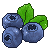 WC:Blueberries