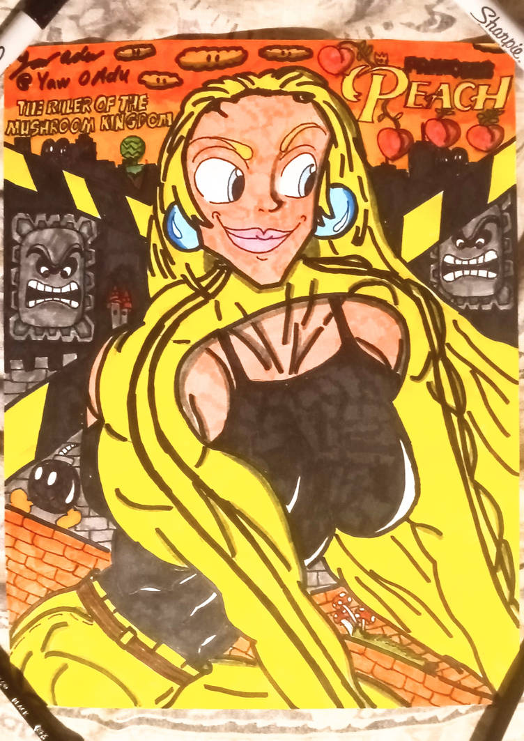 Ad311 Deviantart Princess Peach renovating her castle by Ad311 on DeviantArt