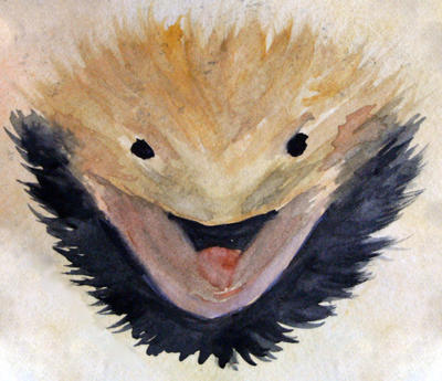 Beardie head watercolour