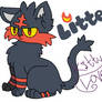 I Choose you, Litten!