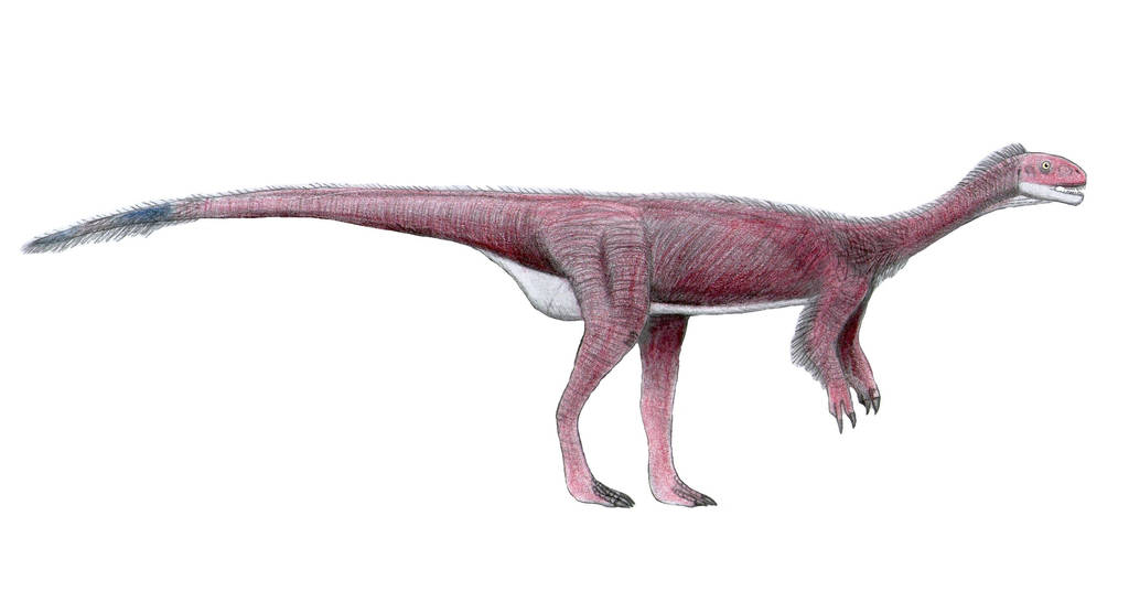 Chilesaurus diegosuarezi by LeviBernardo13