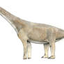 Tehuelchesaurus benitezii