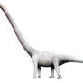 Omeisaurus tianfuensis (The real long neck)