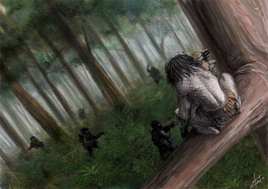 Someone else's territory by Zlatolin