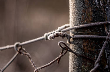 Cold Wire