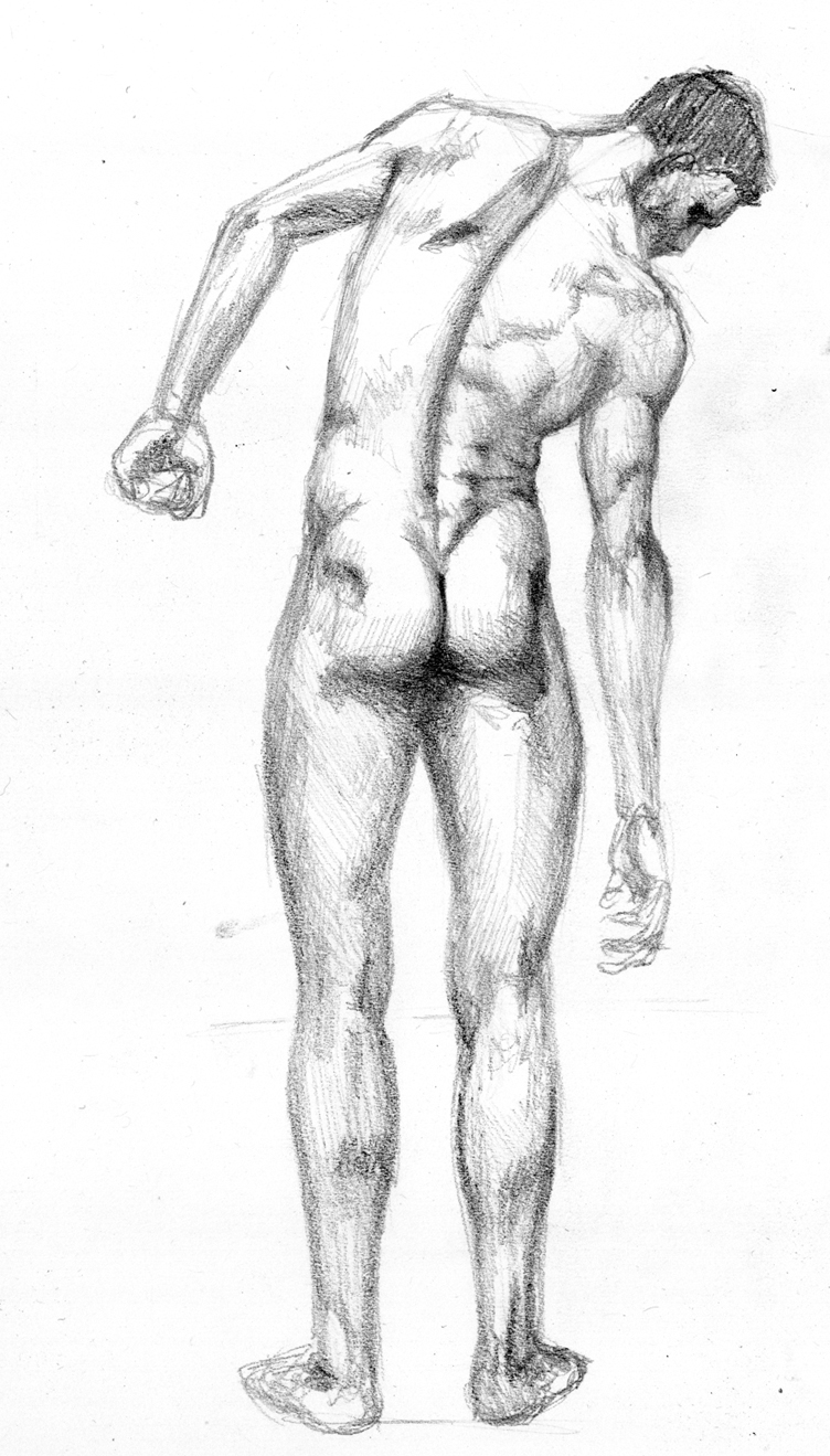 anatomy study - 008