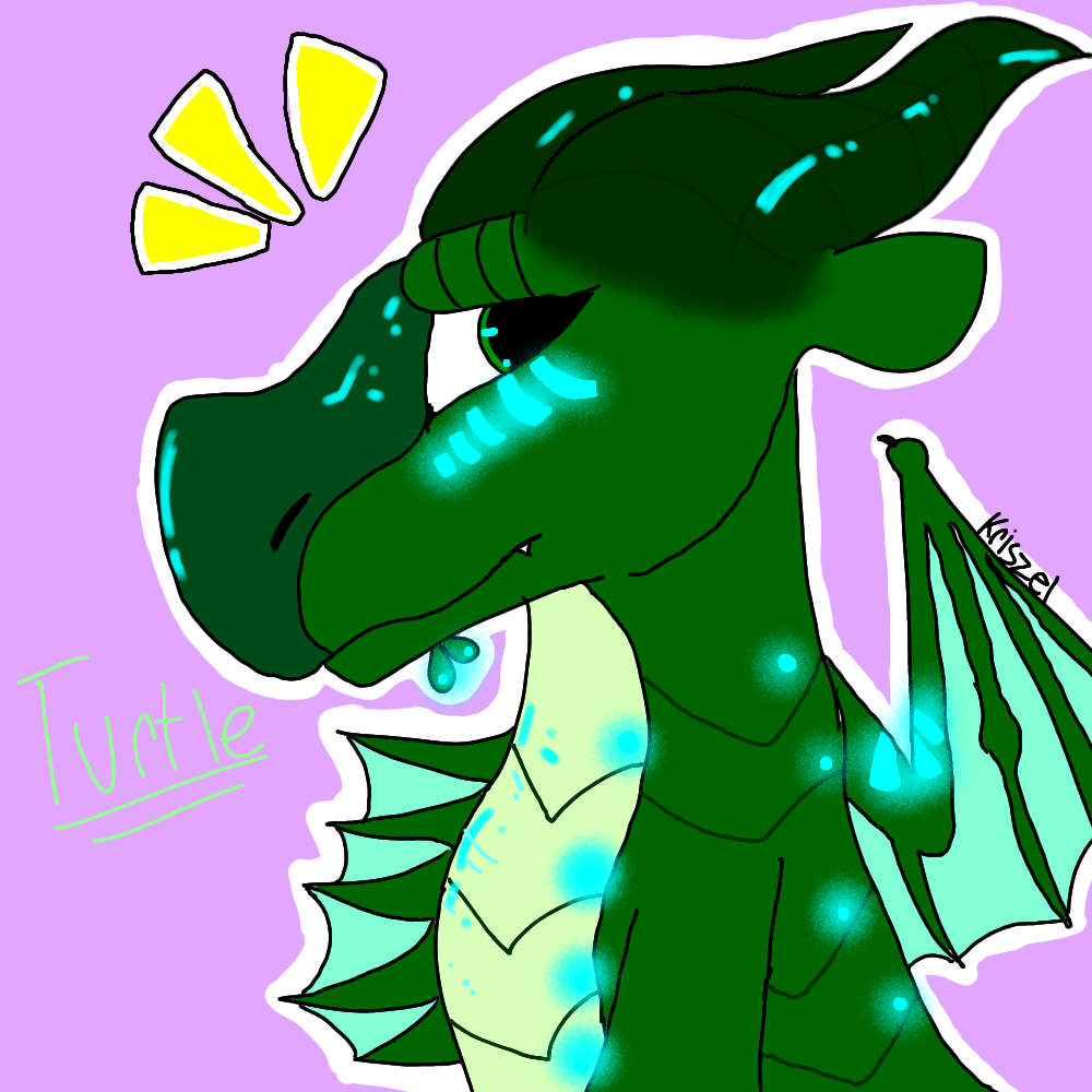 Turtle :D by shadowtheprotogenowo on DeviantArt