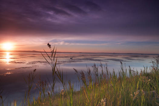 Long Jetty