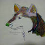 Rainbow wolf